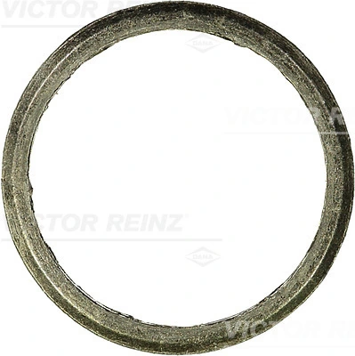 Seal Ring, exhaust pipe
